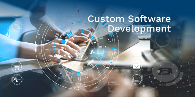 CUSTOMIZED SOFTWARE